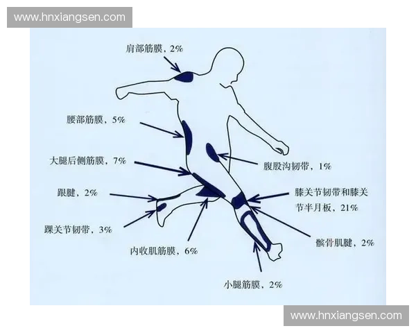 基于体育康复数据驱动的运动损伤评估与恢复效果监测与干预策略分析