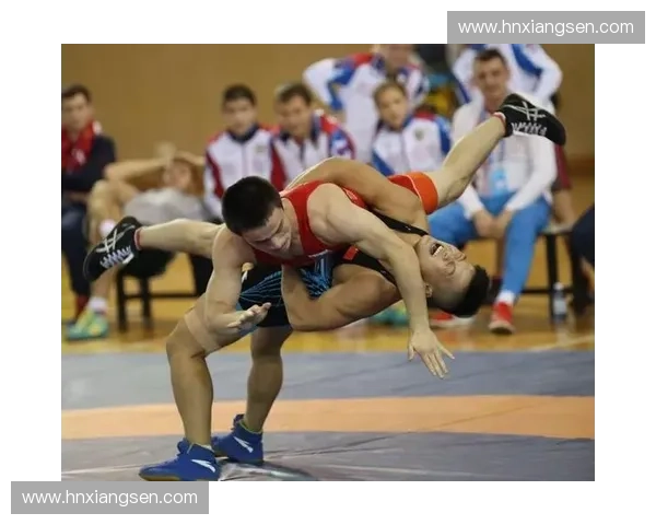 体育合作与文化互鉴：推动全球跨境交流新格局探索